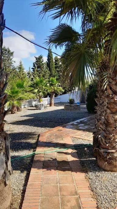 Charming House With Pool & Barbecue Vila Valle de Abdalagís Exterior foto